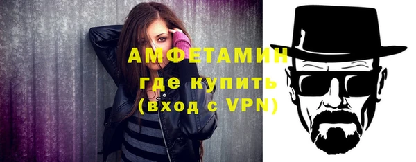 молекула духа Няндома