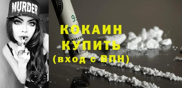 шишки Белокуриха