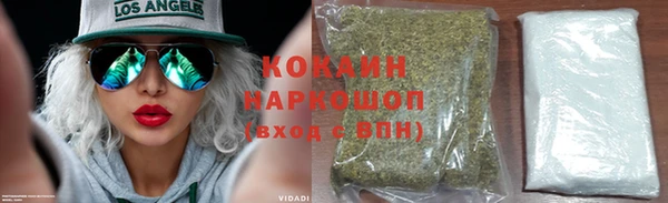 сатива Богданович