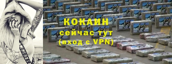 шишки Белокуриха